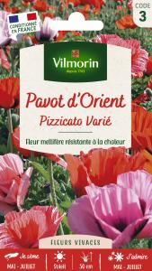 Pavot Pizzicato Varié